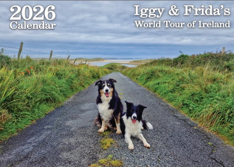 Iggy and Frida’s Calendar