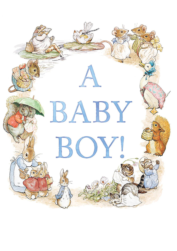 Baby Shower by Beatrix Potter