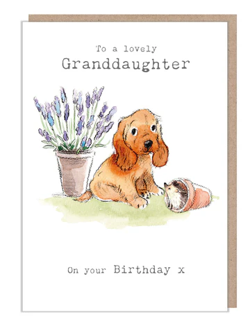 To a Lovely Granddaughter, on your Birthday