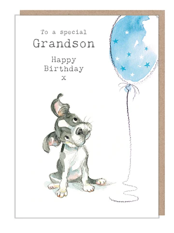To a Special Grandson, Happy Birthday