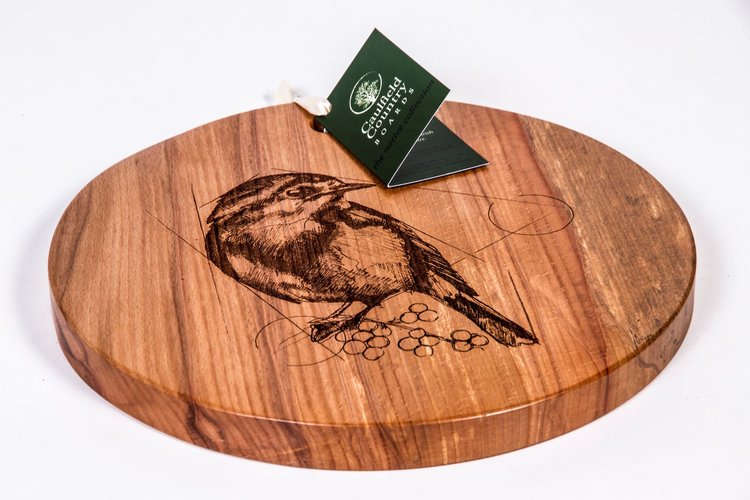 The Robin (An Spideóg)