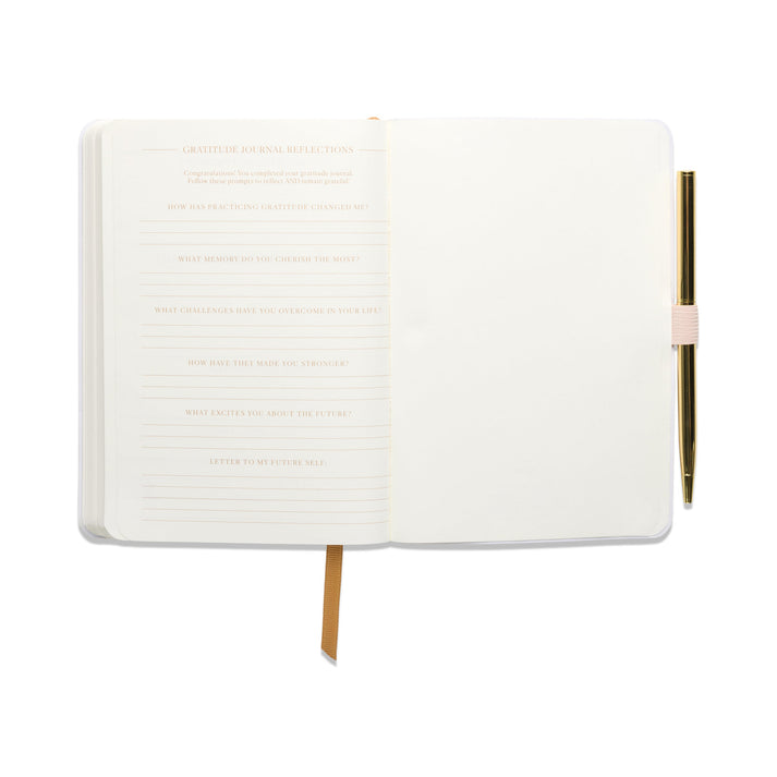Gratitude Journal Pause