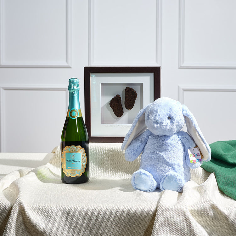 Baby Boy Gift