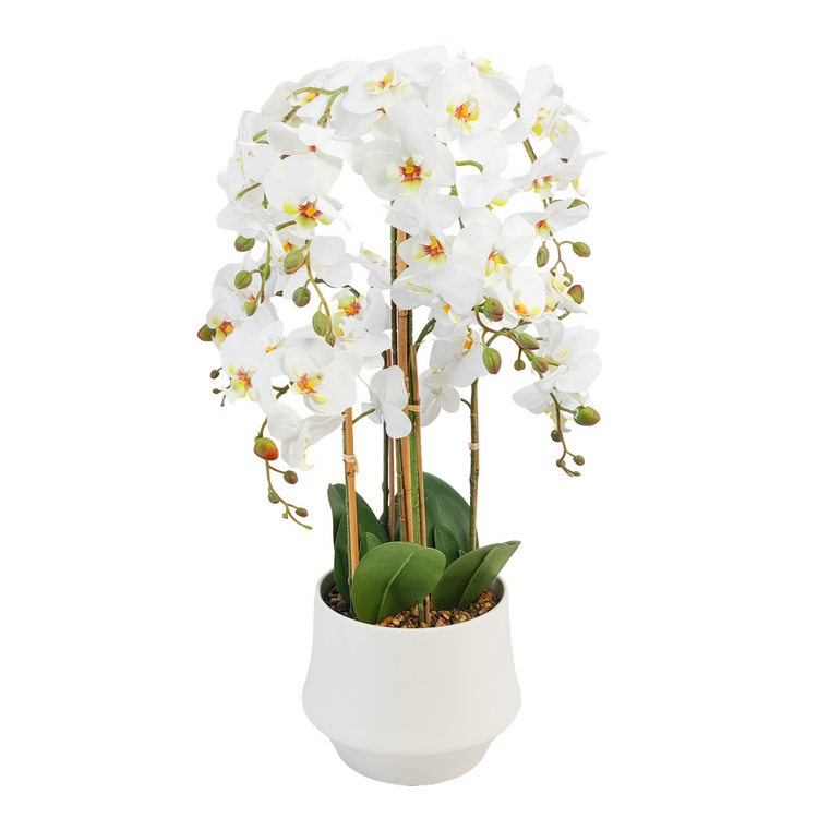 Potted orchid white 82cm