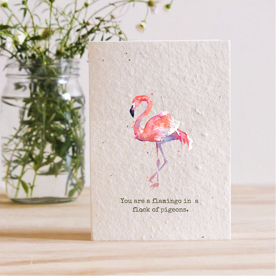 Plantable Cards