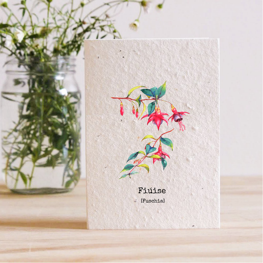 Plantable Cards