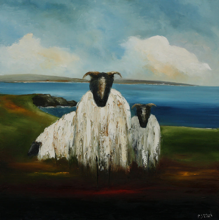 Wild Atlantic Sheep